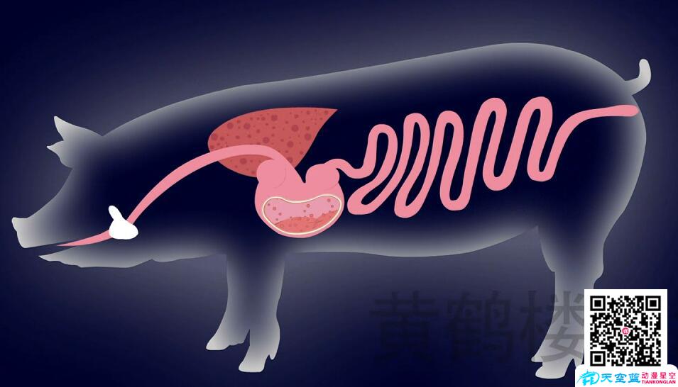 动漫广告制作虚实结合,拓展广告创意空间.jpg 动漫广告制作虚实结合,拓展广告创意空间.jpg