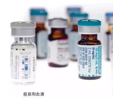 为什么要接种疫苗
