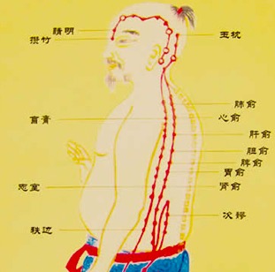 中医补肾可以延缓衰老吗