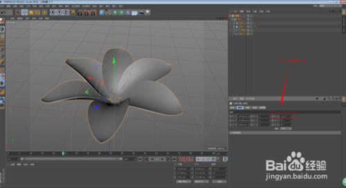 C4D怎么制作花朵开放的动画效果