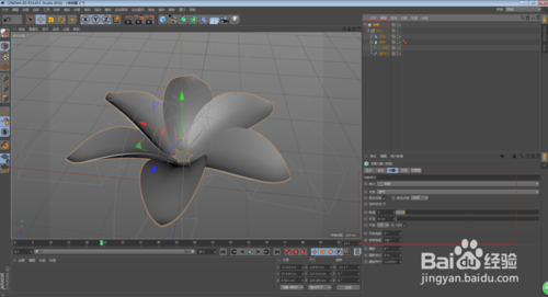C4D怎么制作花朵开放的动画效果
