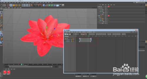 C4D怎么制作花朵开放的动画效果