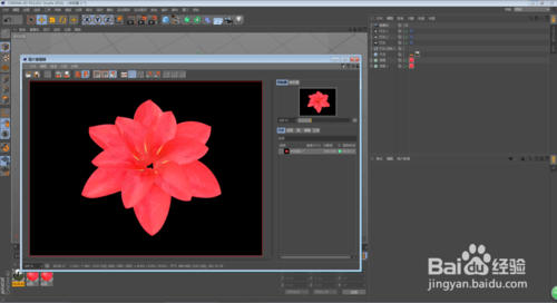 C4D怎么制作花朵开放的动画效果