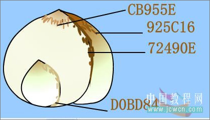 Flash绘画技巧实例:鼠绘好看的水仙花