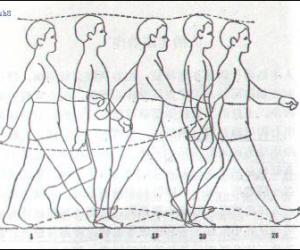 Flash动画技巧:人侧面走路动画制作