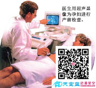 为什么B超能诊断疾病？.jpg
