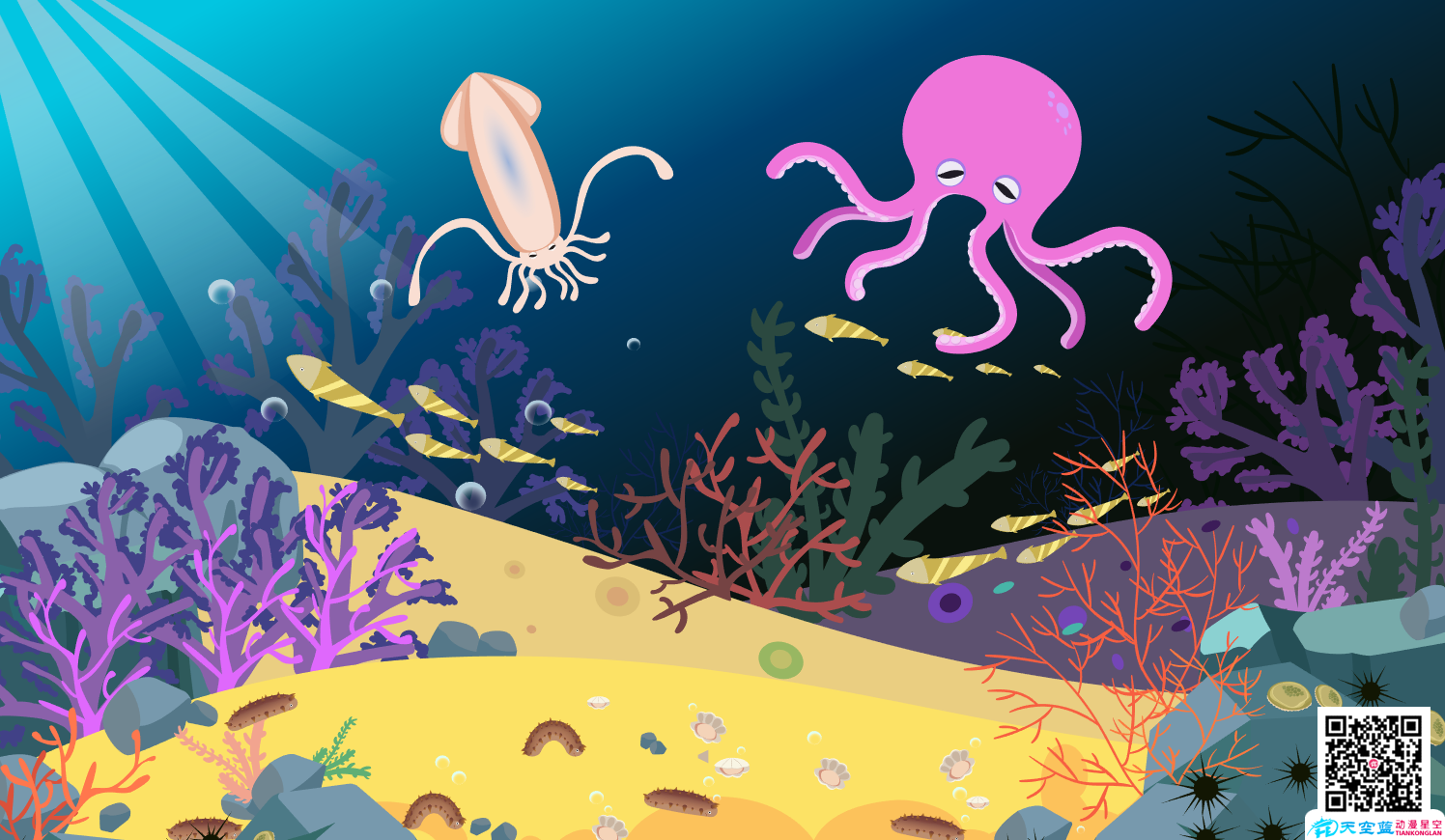 《海底世界》动画视频制作分镜头设计b.png