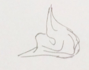 flash动画中布料的画法