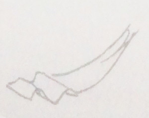 flash动画中布料的画法