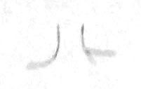 头部的画法