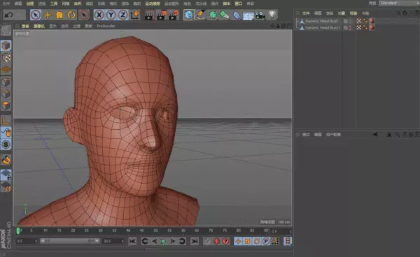 c4d面部绑定