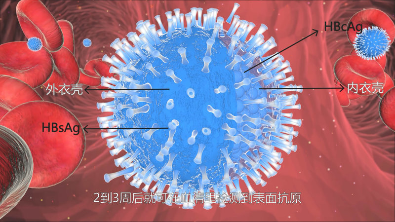 医学动画制作
