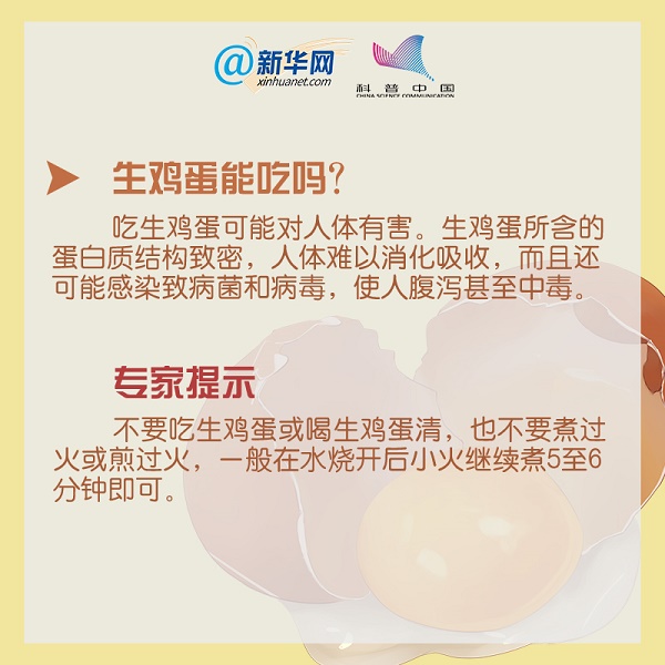 生鸡蛋能吃吗mg科普动画制作