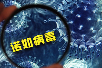 诺如病毒mg科普知识动画制作