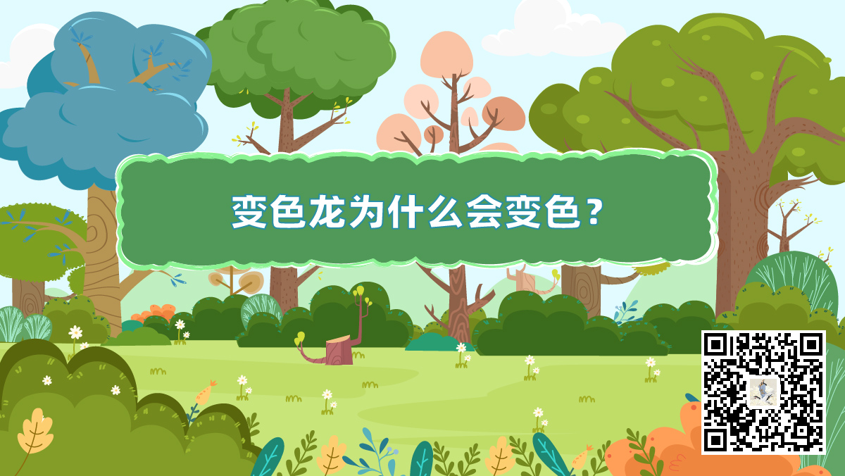 十万个为什么动物篇封面（变色龙二维码）-01-01.jpg