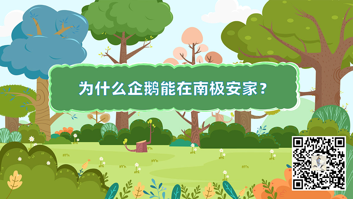 十万个为什么动物篇封面（企鹅）二维码-01.jpg