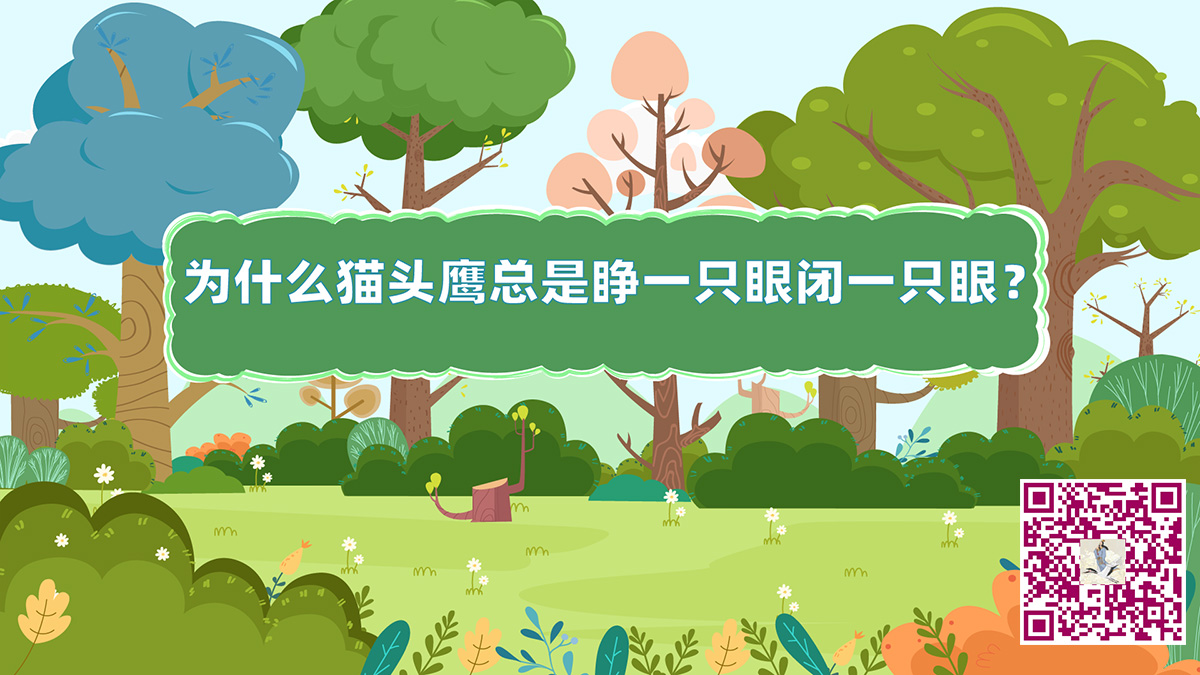 猫头鹰睁眼闭眼二维码.jpg