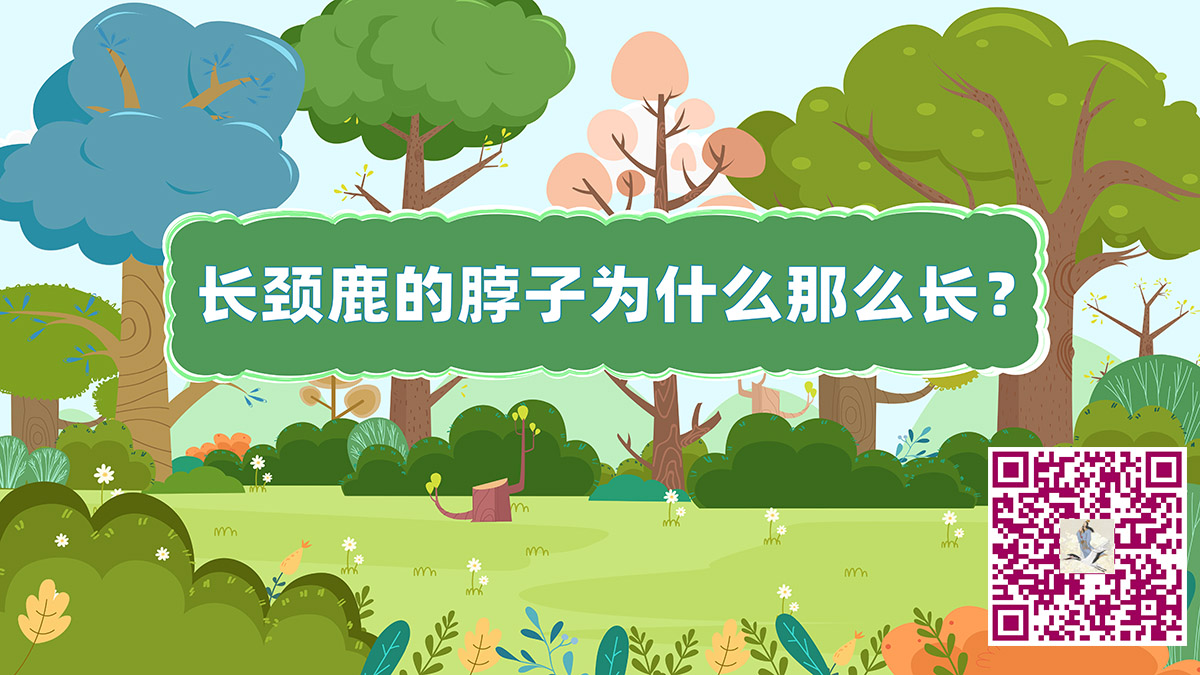 长颈鹿脖子二维码.jpg 长颈鹿脖子二维码.jpg