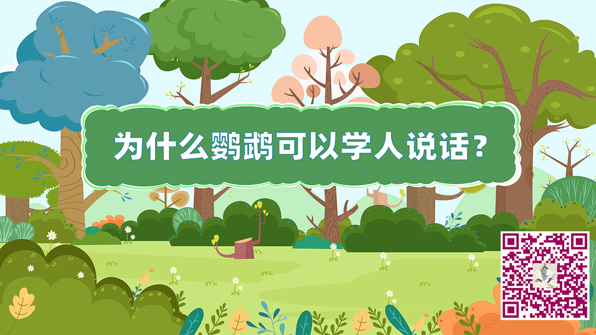 鹦鹉说话二维码.jpg 鹦鹉说话二维码.jpg