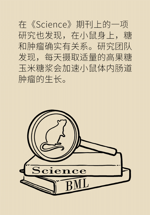 黄鹤楼动漫