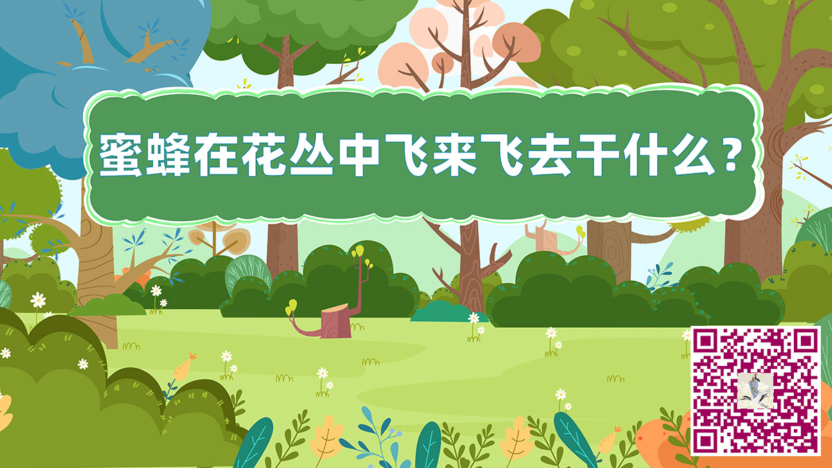 蜜蜂花丛飞二维码jpg.jpg