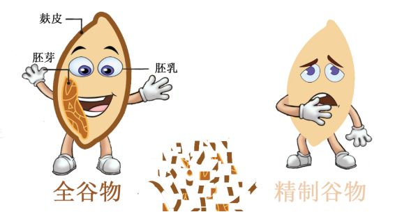黄鹤楼动漫 黄鹤楼动漫
