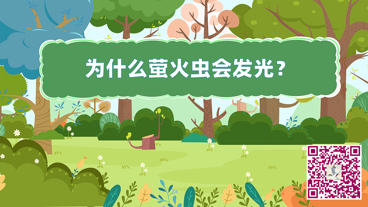 萤火虫为什么会发给二维码.jpg 萤火虫为什么会发给二维码.jpg