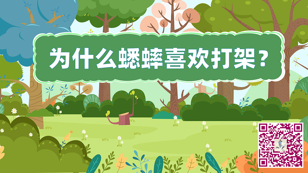 蟋蟀打架二维码.jpg