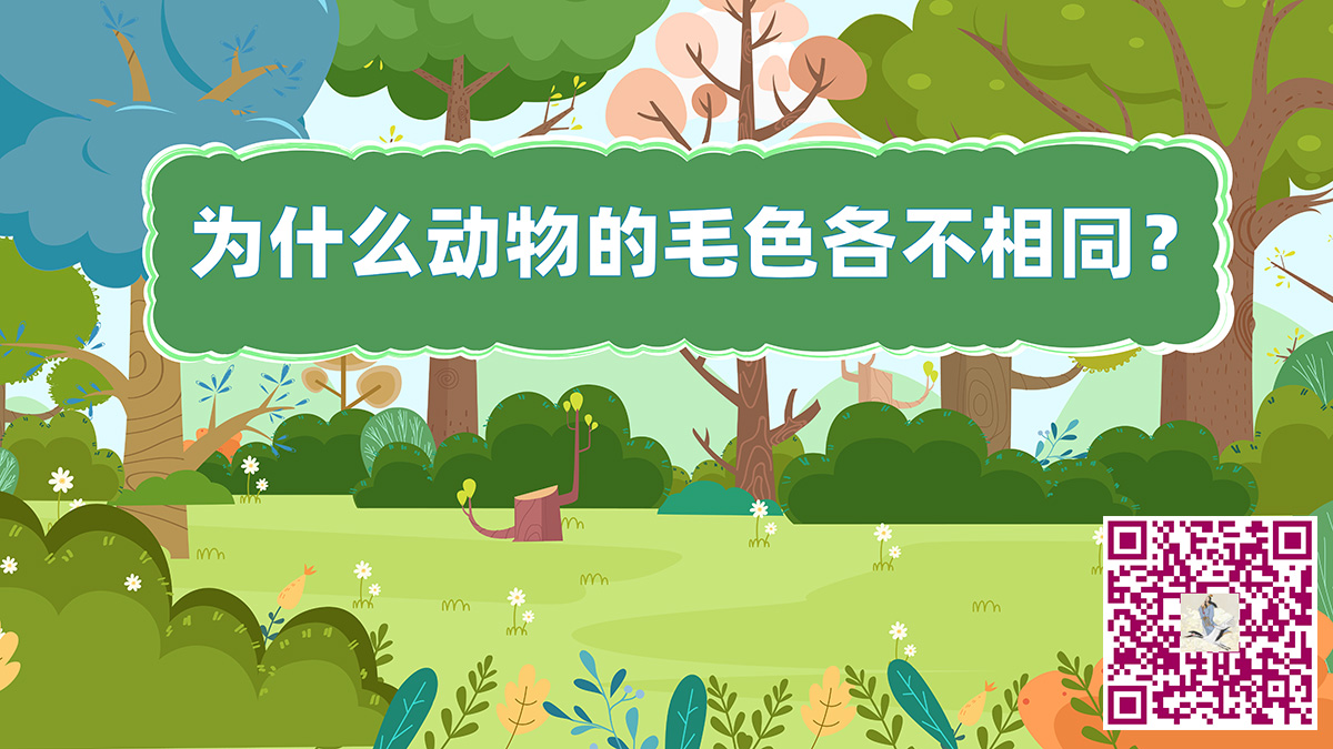 动物毛色二维码.jpg