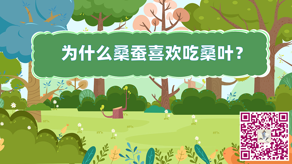 桑蚕为什么喜欢吃桑叶二维码.jpg 桑蚕为什么喜欢吃桑叶二维码.jpg