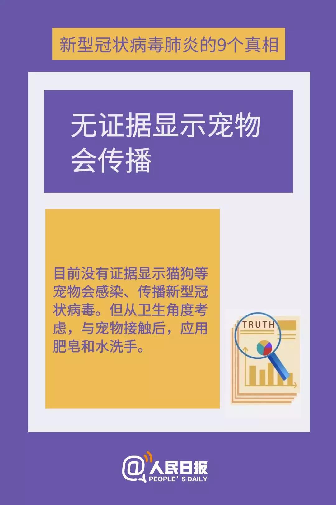 新型冠状病毒：无证据显示宠物会传播.jpg