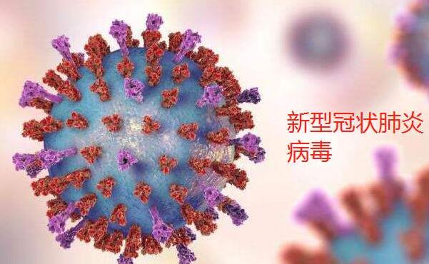 预防控制新型冠状病毒肺炎：病毒最多存活几天？.jpg