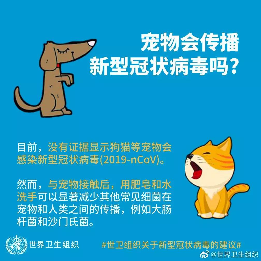 宠物会传播新型冠状病毒吗.jpg