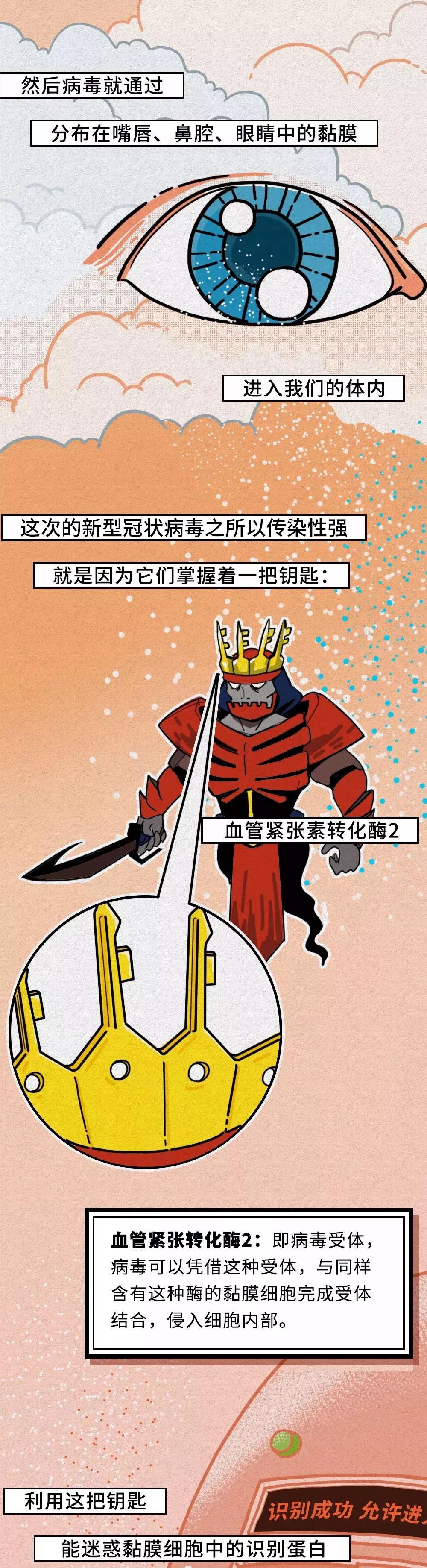 如何感染的新型冠状病毒.jpg