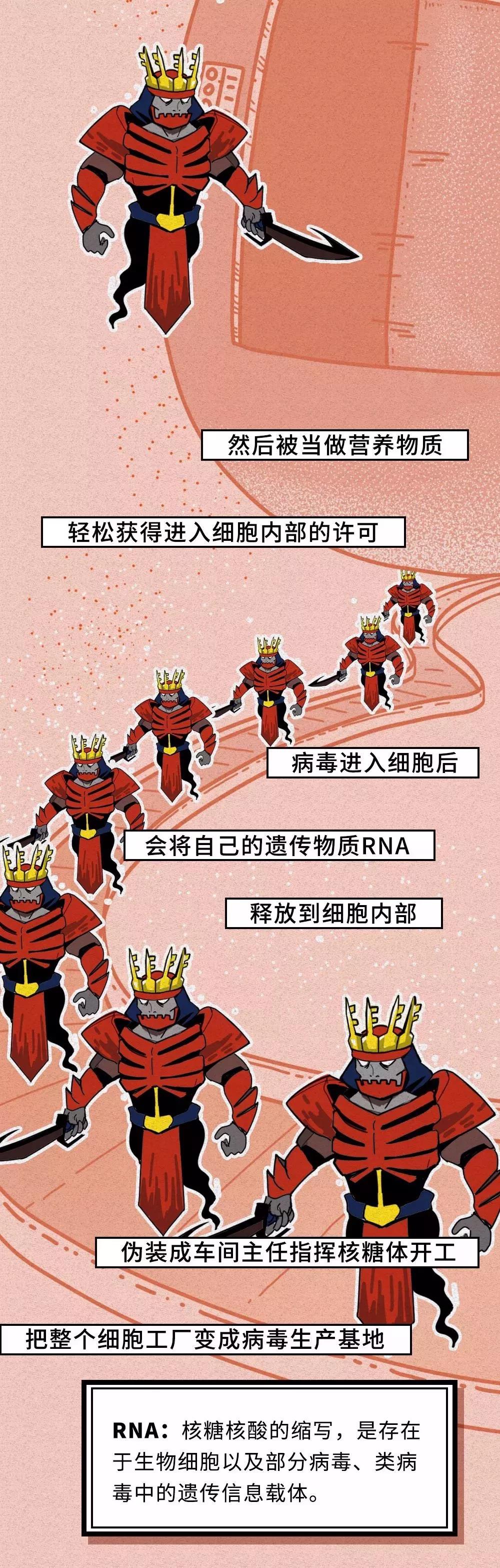 新型冠状病毒自我复制.jpg