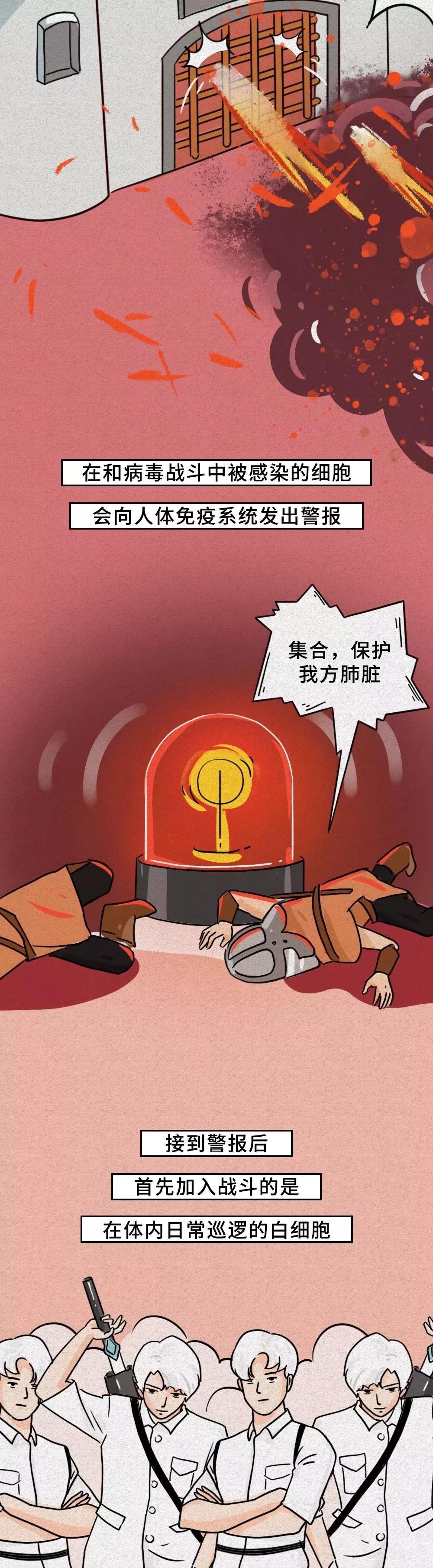 人体免疫系统发出新型冠状病毒警报.jpg