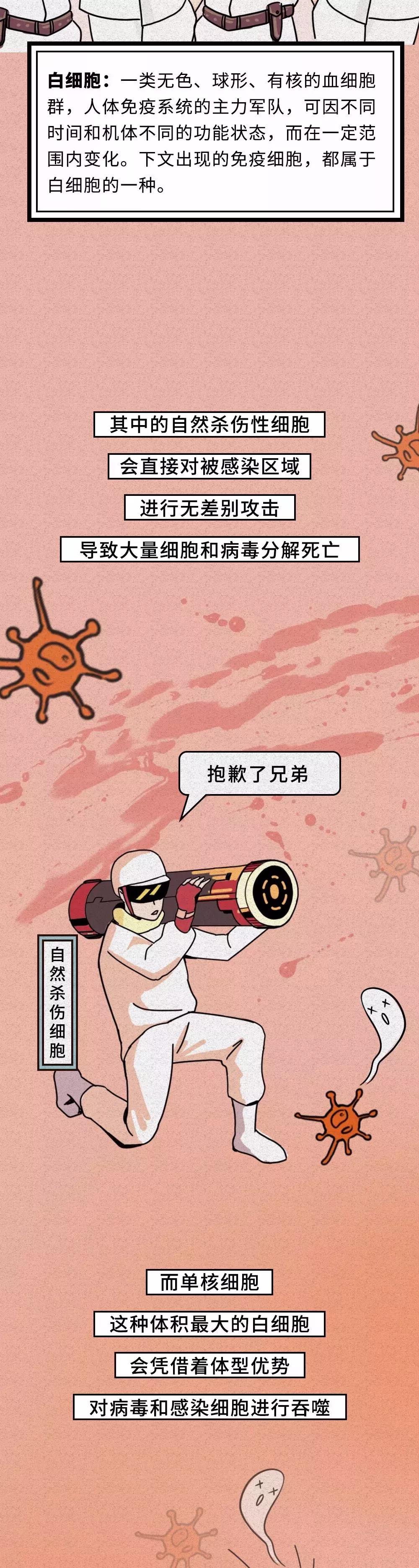 白细胞出动杀新型冠状病毒.jpg