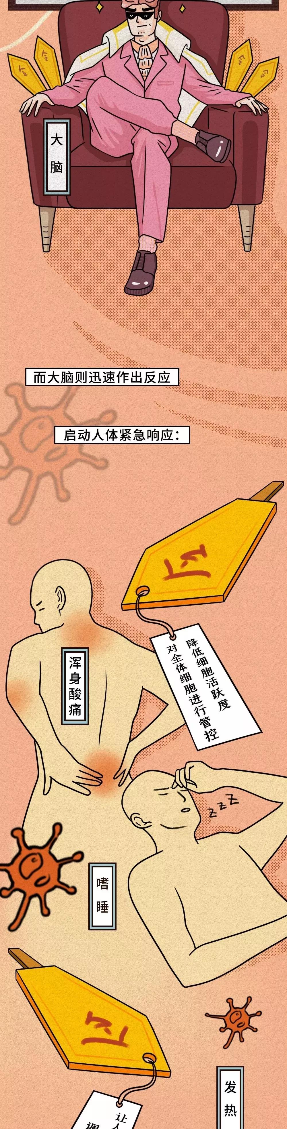 应对新型冠状病毒大脑作出部署.jpg