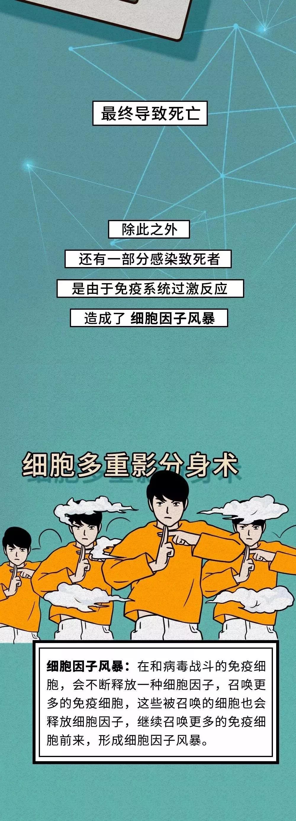 面对新型冠状病毒人体免疫过激反应.jpg