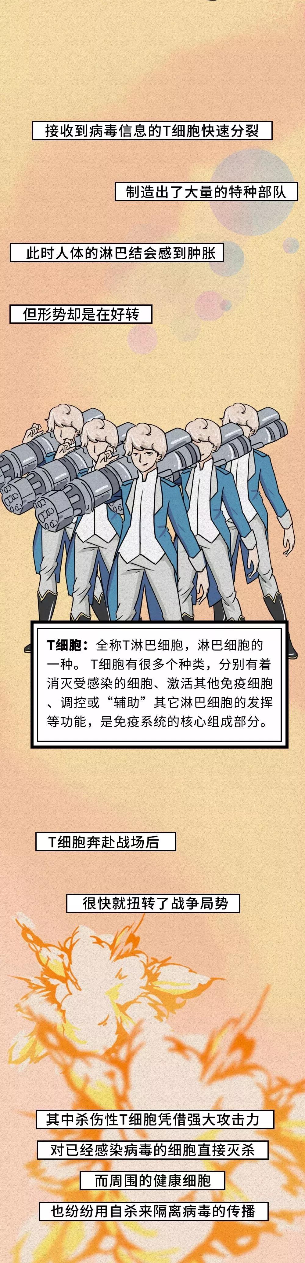 T细胞如何对付新型冠状病毒.jpg