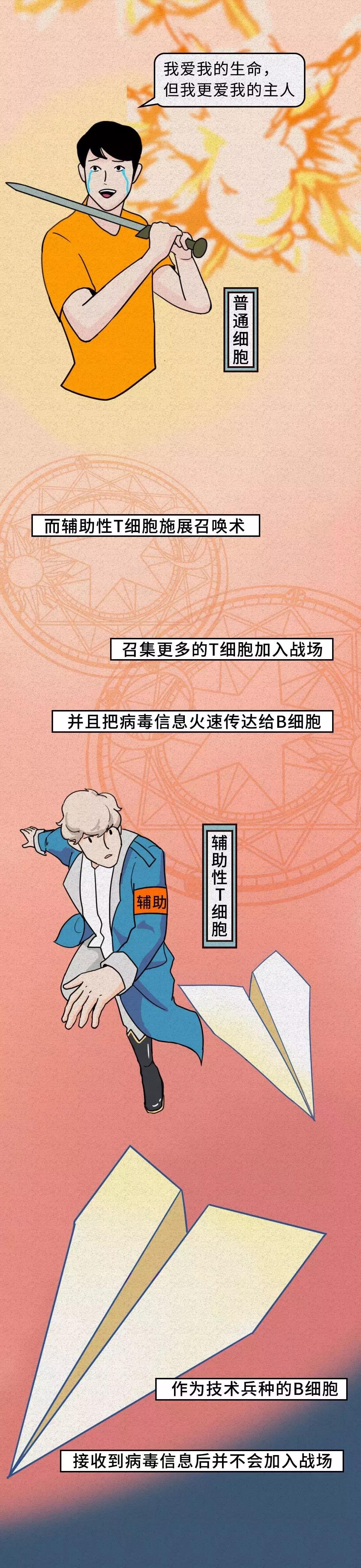 普通细胞如何面对新型冠状病毒.jpg