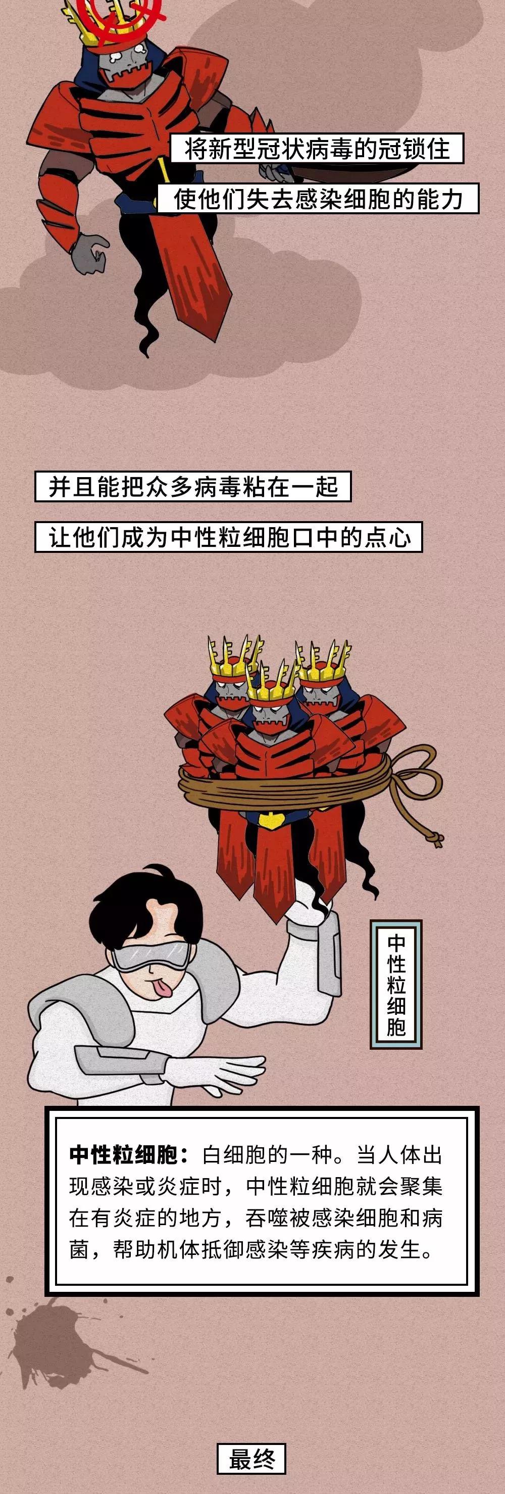 新型冠状病毒失去复制能力.jpg