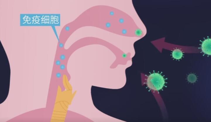 新型冠状病毒科普动画制作