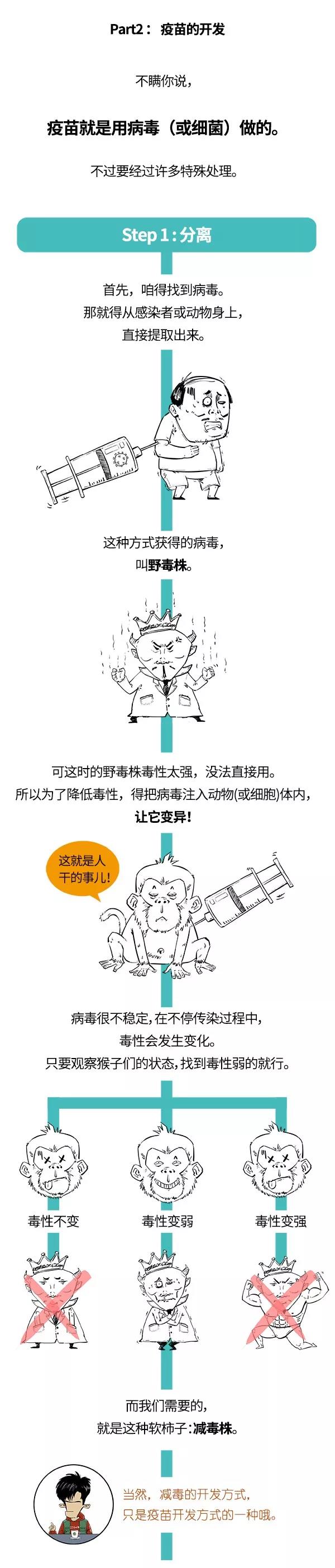 新型冠状病毒疫苗的研究过程.jpg