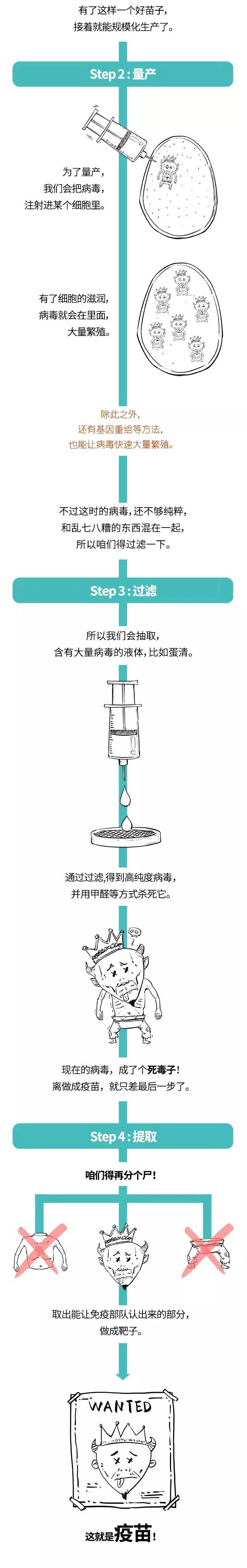疫苗的规模化生产.jpg