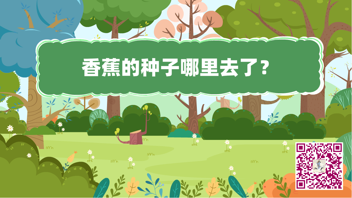 十万个为什么标题(香蕉的种子)1200.png 十万个为什么标题(香蕉的种子)1200.png