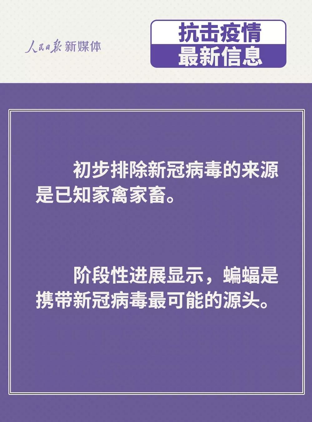 防控新型冠状病毒：鸡鸭会传播病毒？疫苗研究得怎样？.jpg