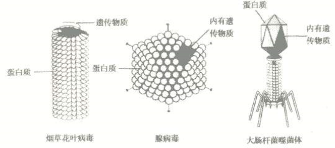 黄鹤楼动漫 黄鹤楼动漫