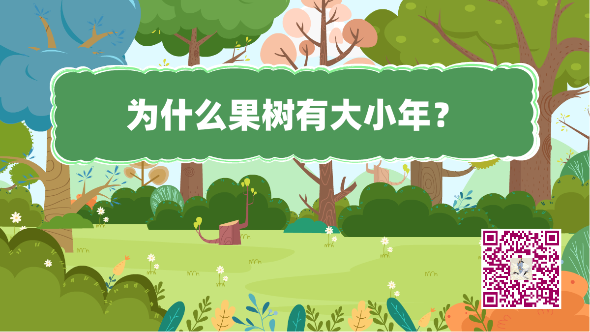 十万个为什么标题(果树大小年)1200.png 十万个为什么标题(果树大小年)1200.png