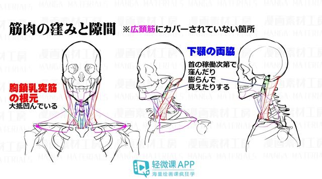 黄鹤楼动漫 黄鹤楼动漫